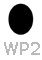 wp2 logo